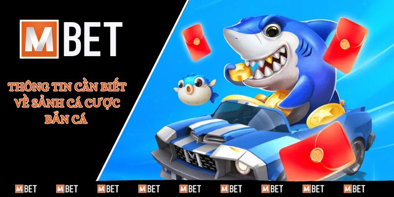 Thông tin cần biết về sảnh cá cược bắn cá