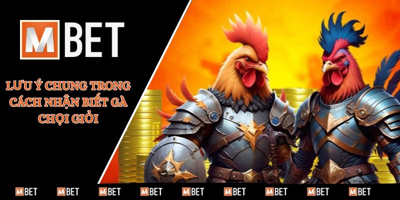 Lưu ý chung trong cách nhận biết gà chọi giỏi