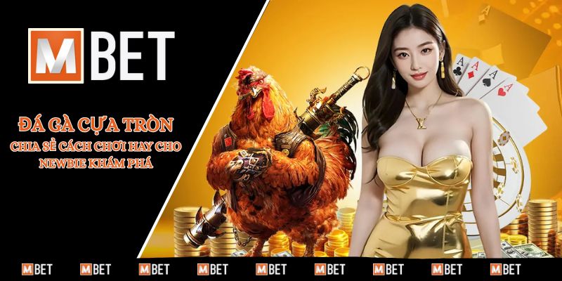 Đá gà cựa tròn