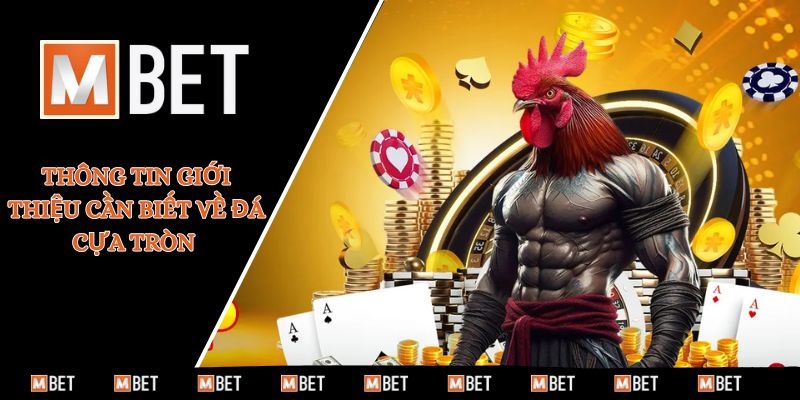 Thông tin giới thiệu cần biết về đá cựa tròn