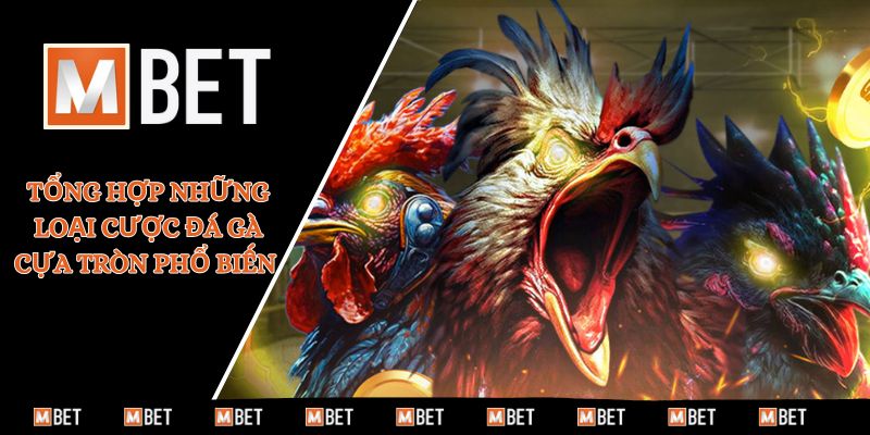 Tổng hợp những loại cược đá gà cựa tròn phổ biến