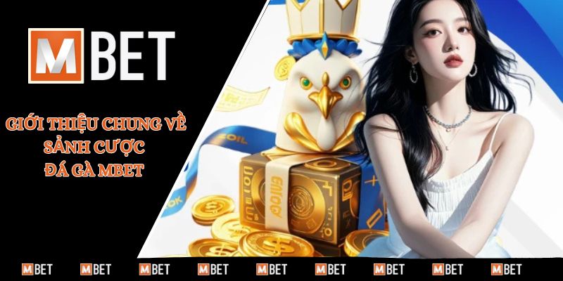 Giới thiệu chung về sảnh cược đá gà MBET