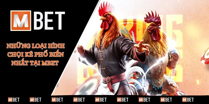 Những loại hình chọi kê phổ biến nhất tại MBET