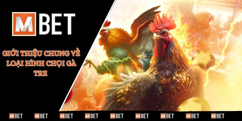 Giới thiệu chung về loại hình chọi gà tre
