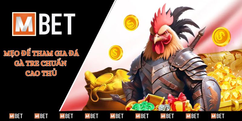 Mẹo để tham gia đá gà tre chuẩn cao thủ