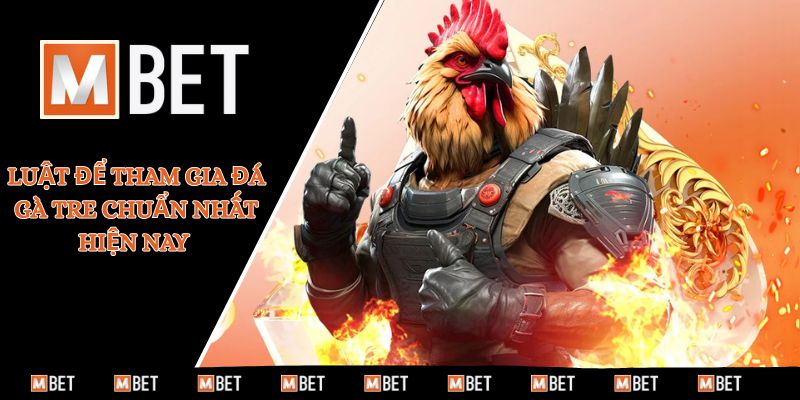 Luật để tham gia đá gà tre chuẩn nhất hiện nay