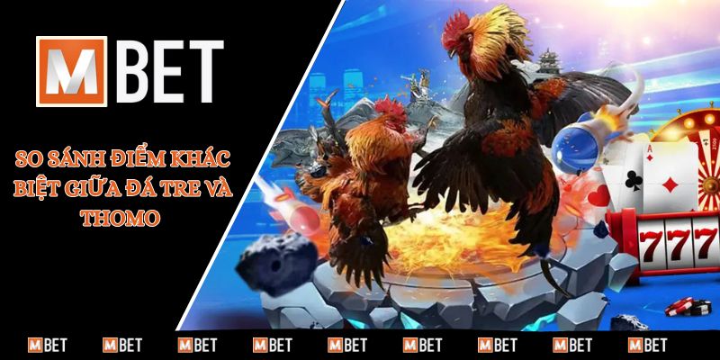 So sánh điểm khác biệt giữa đá tre và thomo