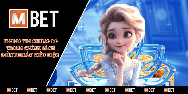 Thông tin chung có trong chính sách điều khoản điều kiện