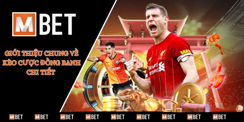 Giới thiệu chung về kèo cược đồng banh chi tiết