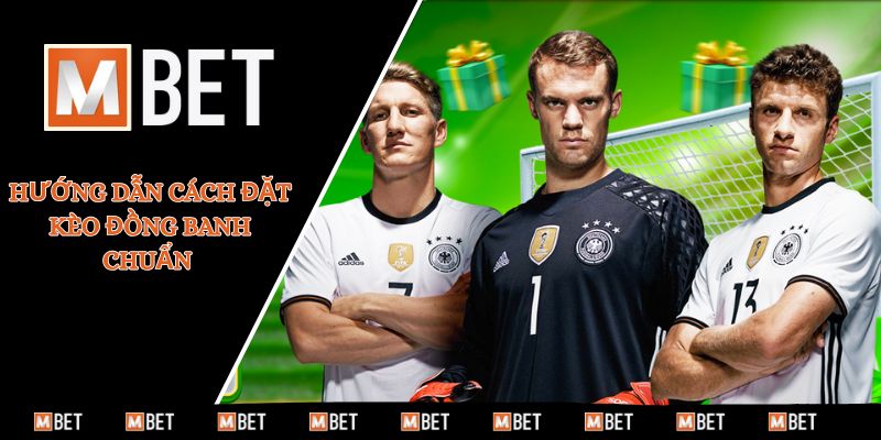 Hướng dẫn cách đặt kèo đồng banh chuẩn