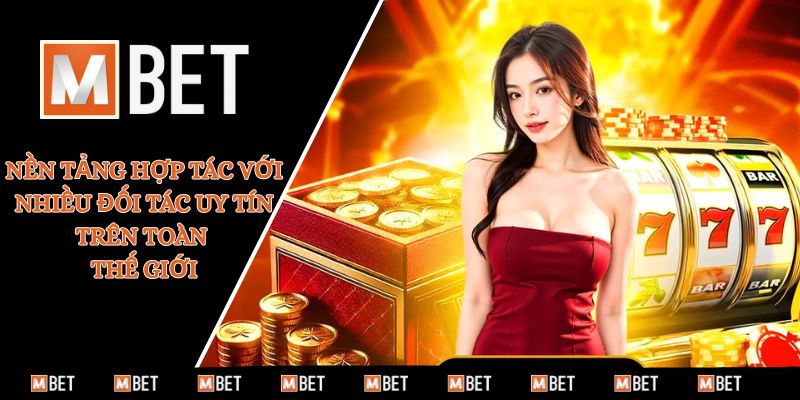 Nền tảng hợp tác với nhiều đối tác uy tín trên toàn thế giới