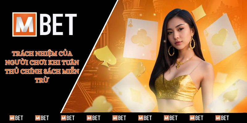 Trách nhiệm của người chơi khi tuân thủ chính sách miễn trừ